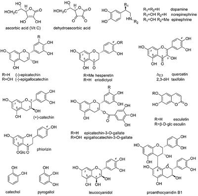 Do Certain Flavonoid IMPS Have a Vital Function?